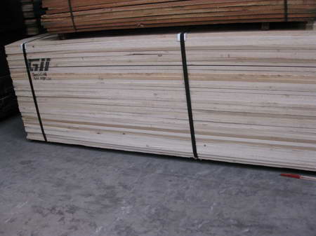DYELLOW POPLAR c(din)ɷŴ