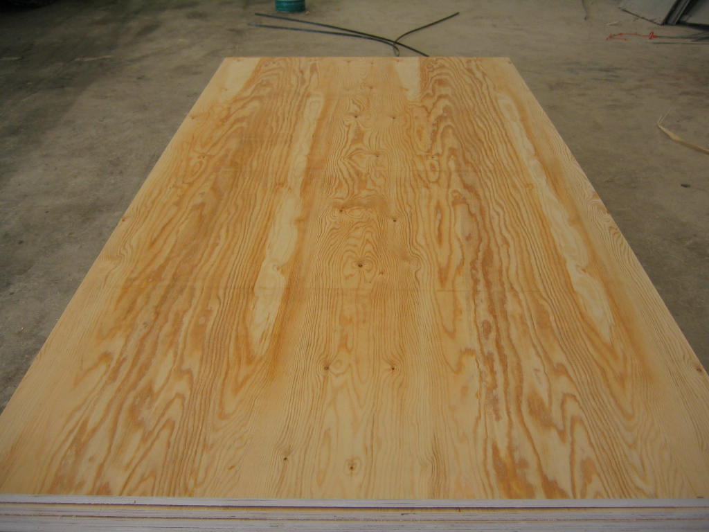 Pine PlywoodԔ(x)B