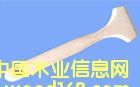 ˢԔB