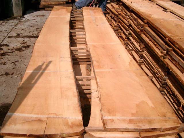 beech lumberԔ(x)B