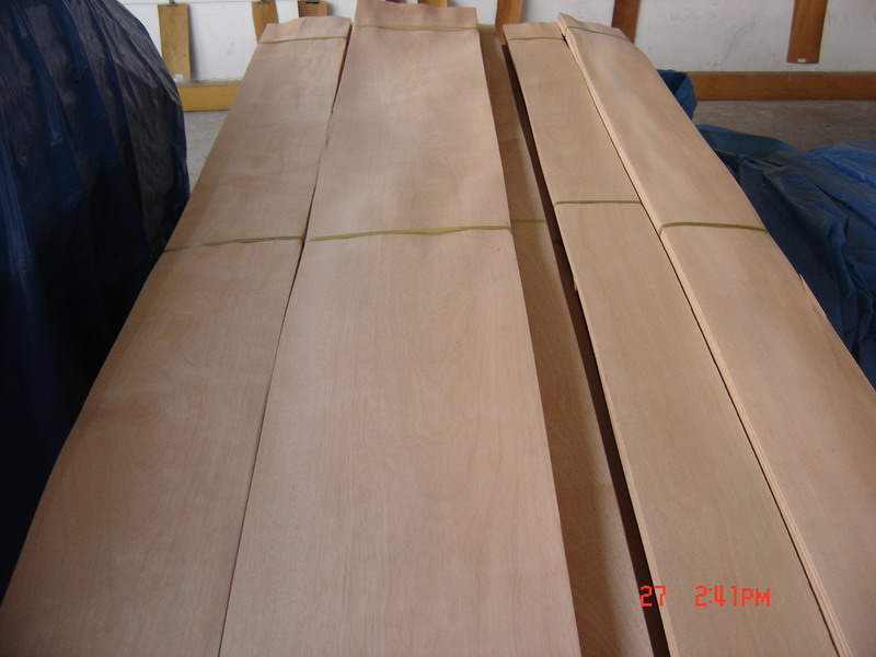 Chinese Cherry(Crown Cut)