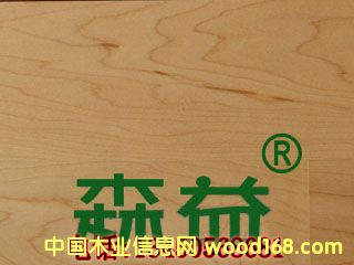 ӗ1ԔB