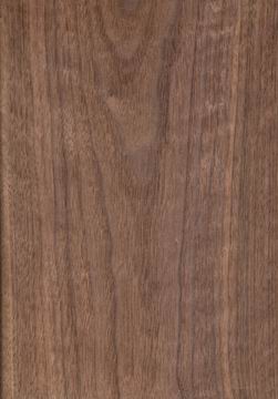 ں(black walnut)