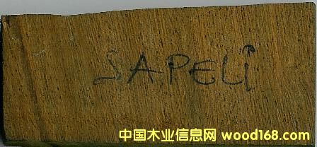 SAPELIԔ(x)B