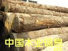 ľM(jn)麣(bo)P(gun)/麣M(jn)ľP(gun)/麣ľĈ(bo)P(gun)