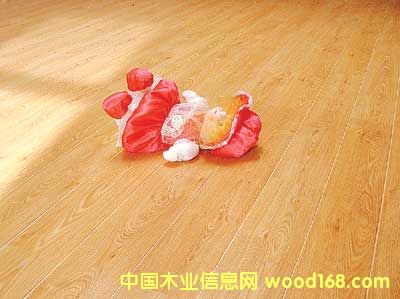 InnoFloor(ӢZذ)