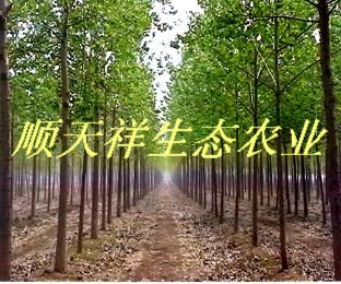 (yu)|(zh)ľԔ(x)B