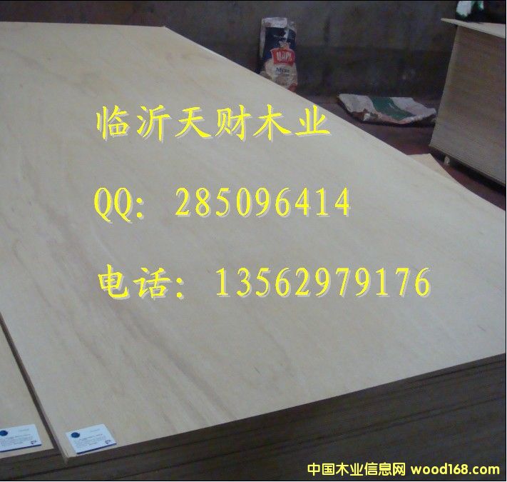 12mm LVBς(c)匣zϰ13562979176