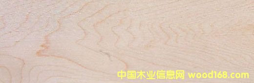 Ӳ Hard MapleԔB