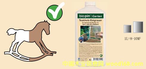 biopin_(ti)A