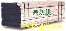黑胡桃的詳細(xì)介紹