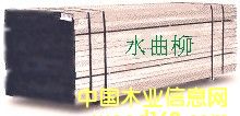 水曲柳的詳細(xì)介紹