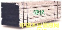 硬楓的詳細(xì)介紹