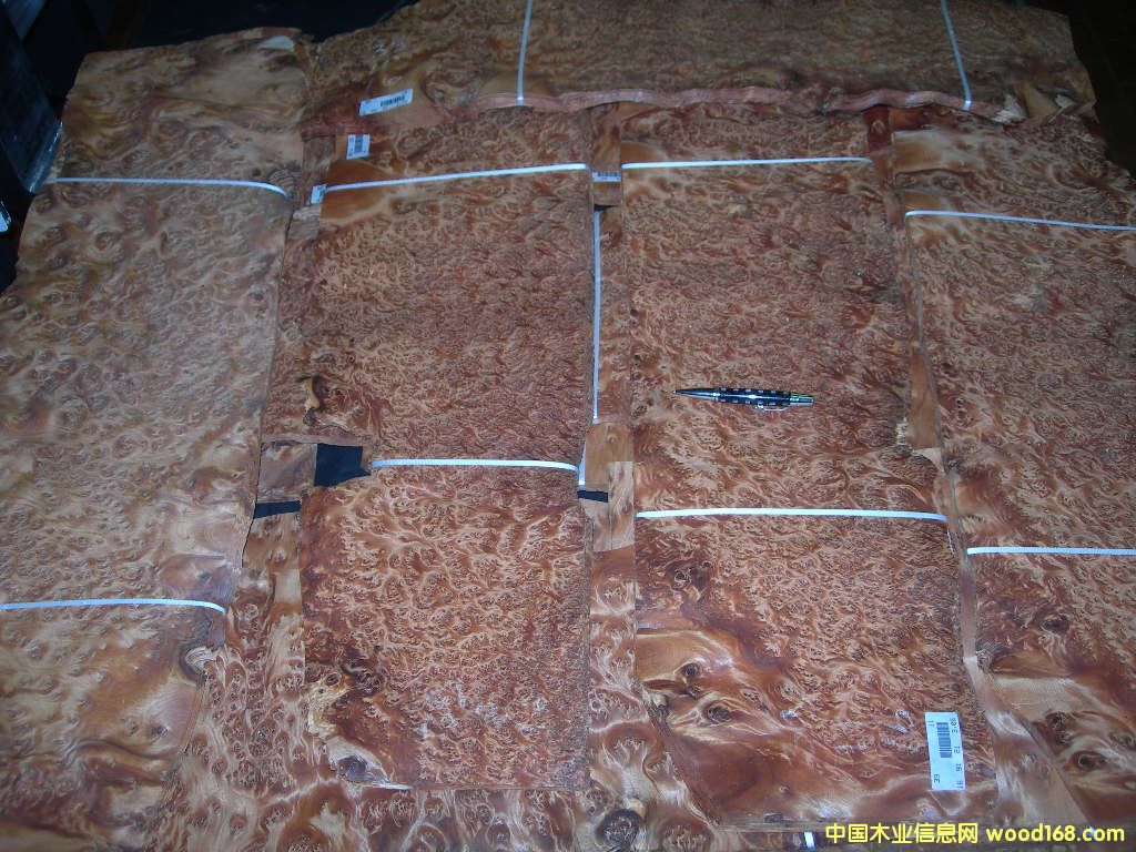 THUYA BURL