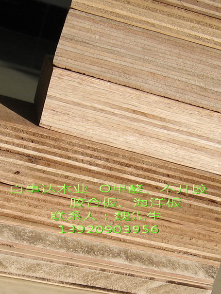 plywoodԔB