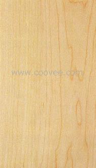 Hard Maple(ӲǗľԔ(x)B