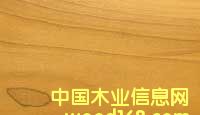 Z鱵ԔB