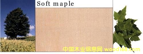ܛԔ(x)B