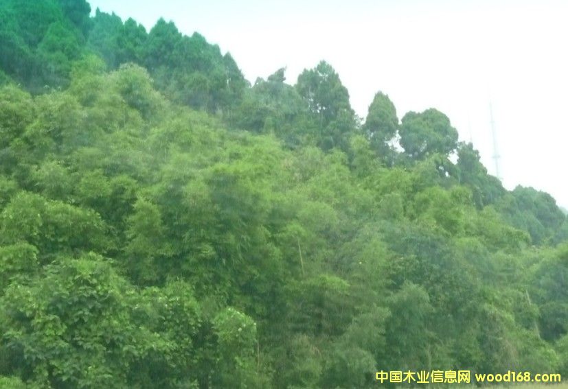 Ĵʡɶ2800஀ֵD(zhun)׌ԔB