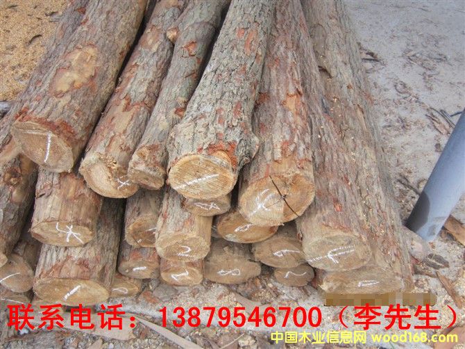 梓木的詳細(xì)介紹