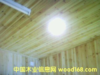 杉木的詳細(xì)介紹