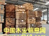 漆木的詳細(xì)介紹