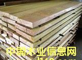 欖仁的詳細(xì)介紹