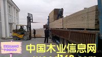 (ni)ɹɷľ̓r13947035843