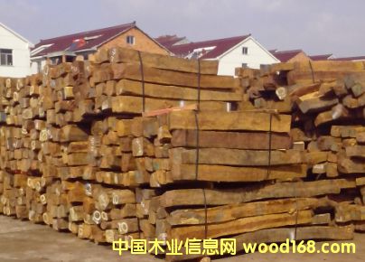 花枝的詳細(xì)介紹