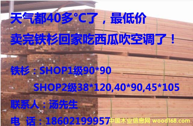 FɼSHOP1Ԕ(x)B