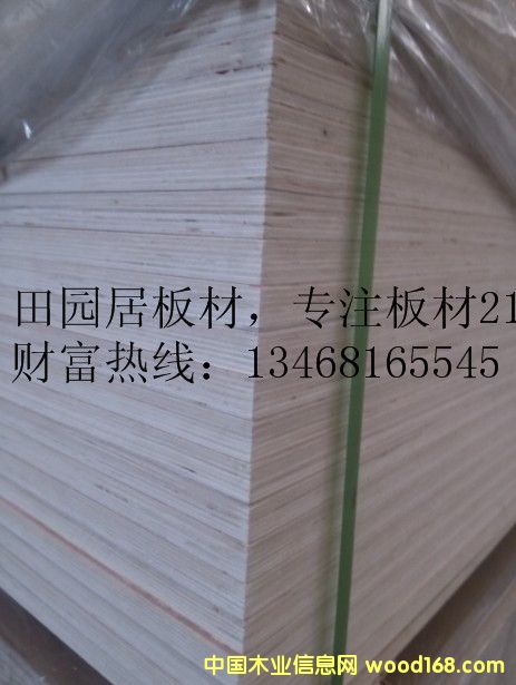 B(ti)噻 