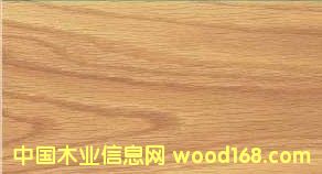 白橡木的詳細(xì)介紹