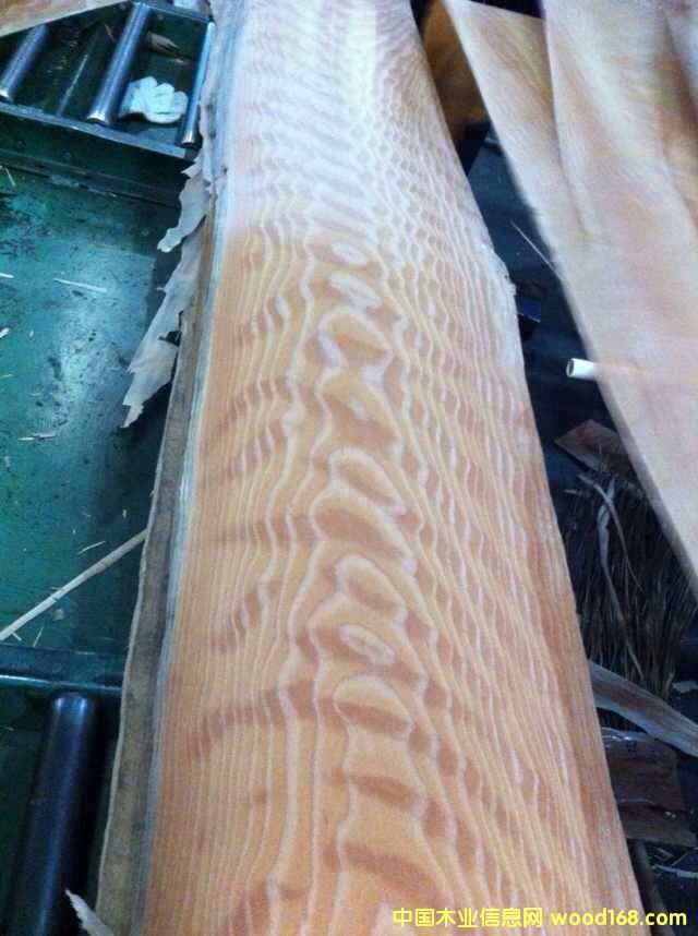 ľӰԔ(x)B