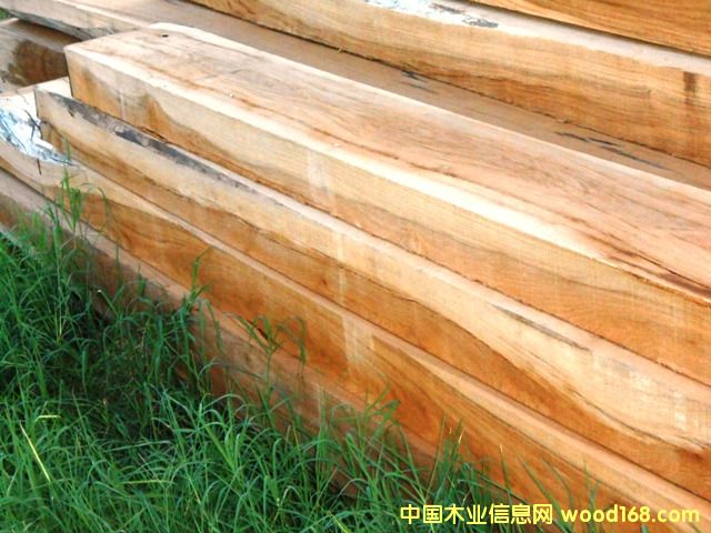 巴西酸枝的詳細(xì)介紹