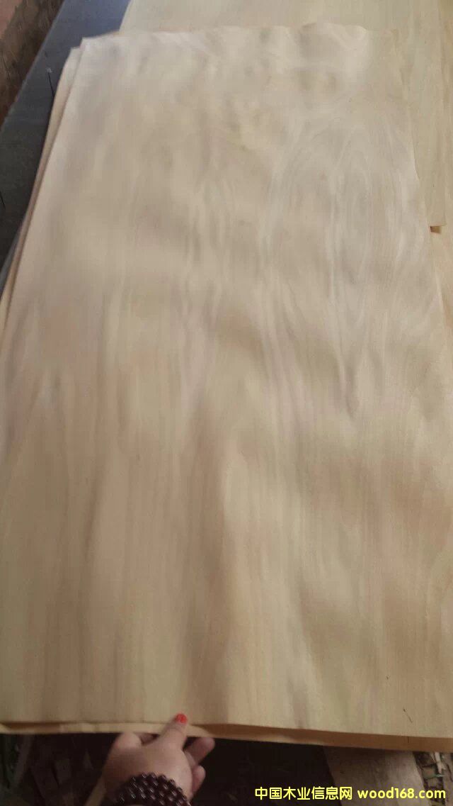FSC ľԔ(x)B