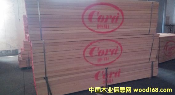 櫸木的詳細(xì)介紹