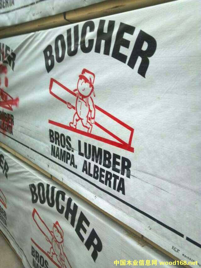 SPFԔB