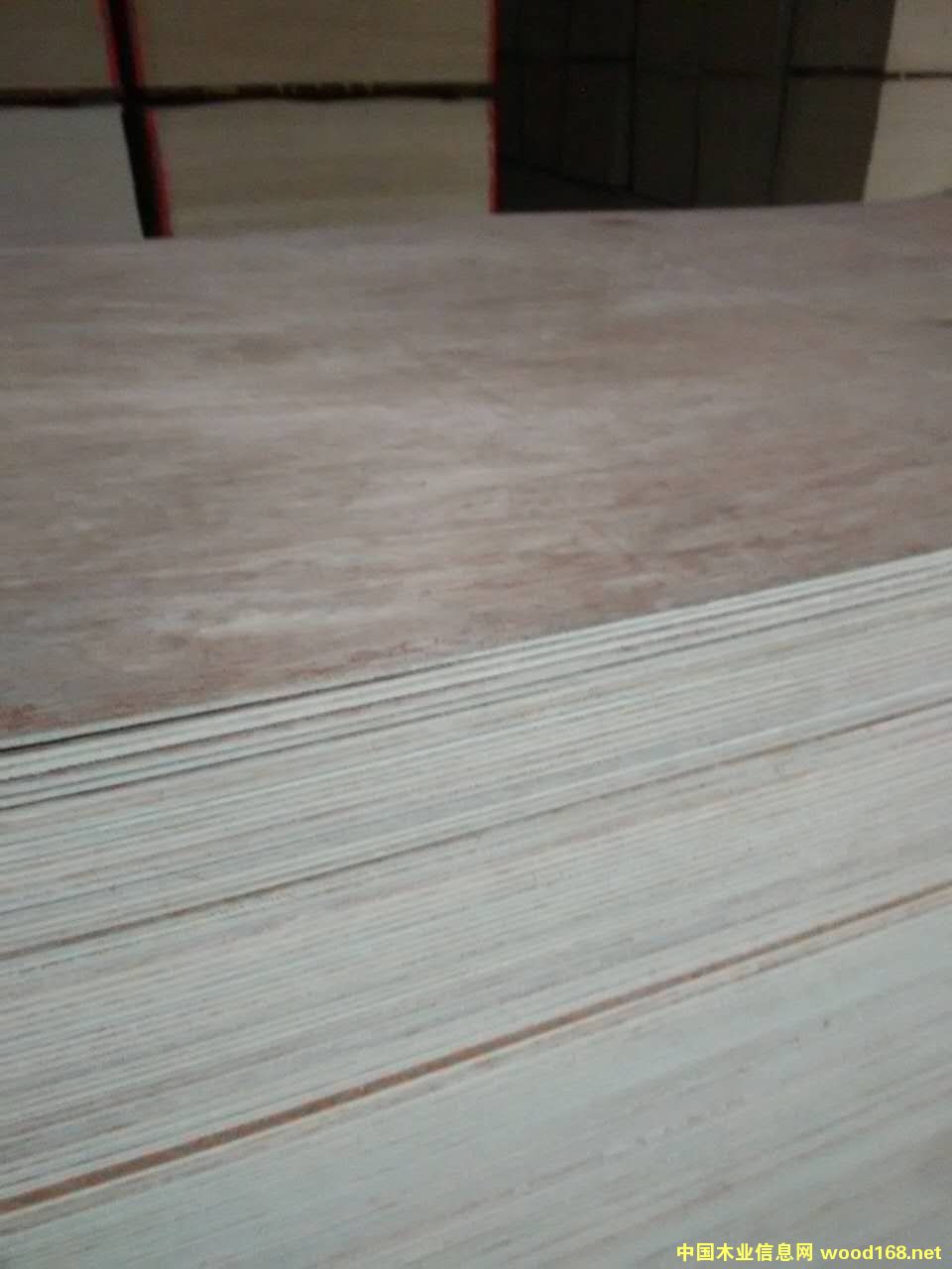 [] zϰSҼֱNh(hun)zE0(j)eҾ߰b
