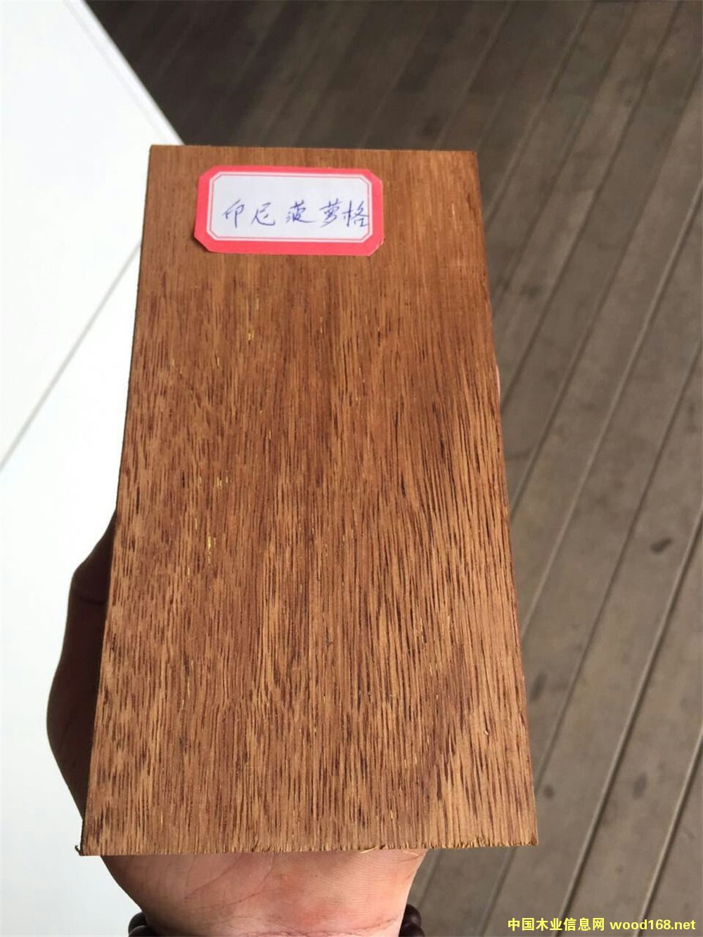 [] }񡢲}ľļӹ
