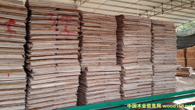 桉樹單板的詳細(xì)介紹