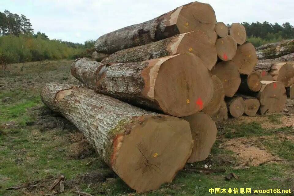 W޼tԭľ̵Ԕ(x)B