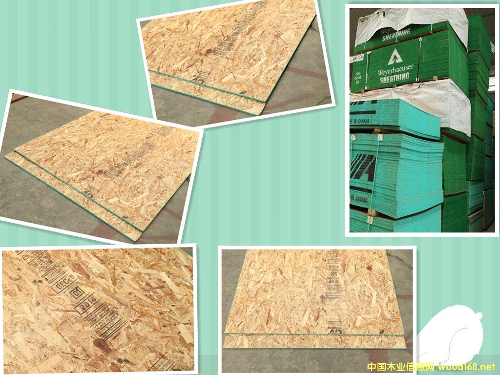osb