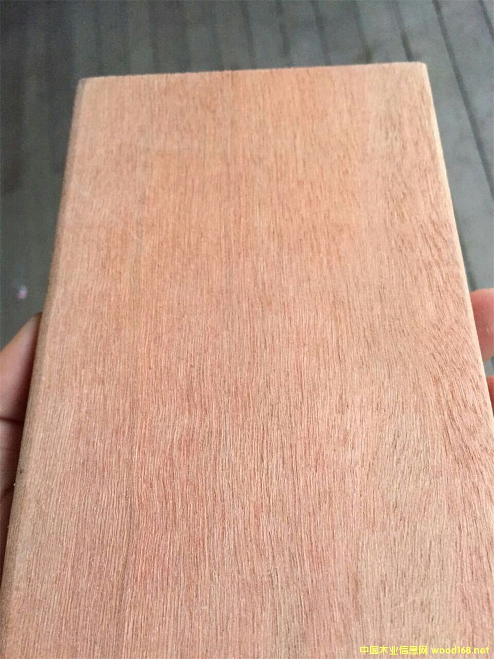 ɽľ^ľ
