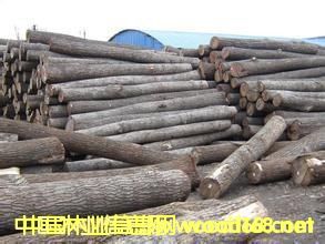 原木的詳細(xì)介紹