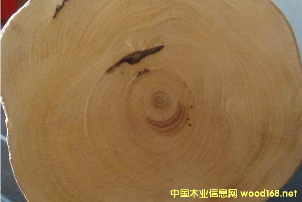 巴新木材手冊(cè)--巴新材中文和英文名對(duì)照