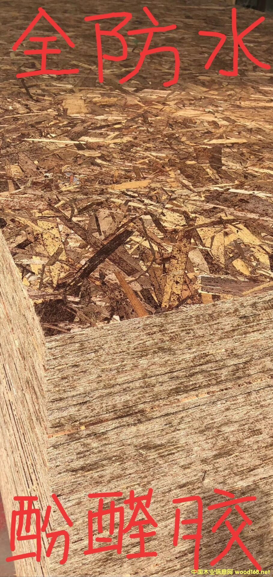 [] OSBWɰٻ9mmpˮ40Ԫ/OSBWɰ