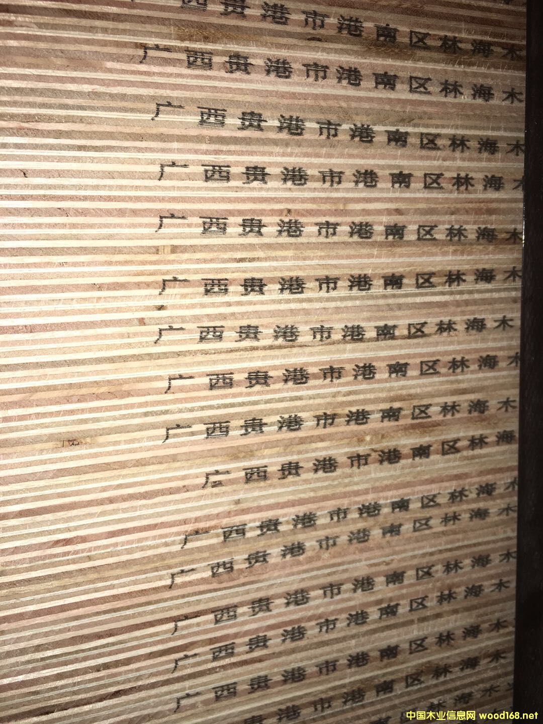  NӰԔ(x)B