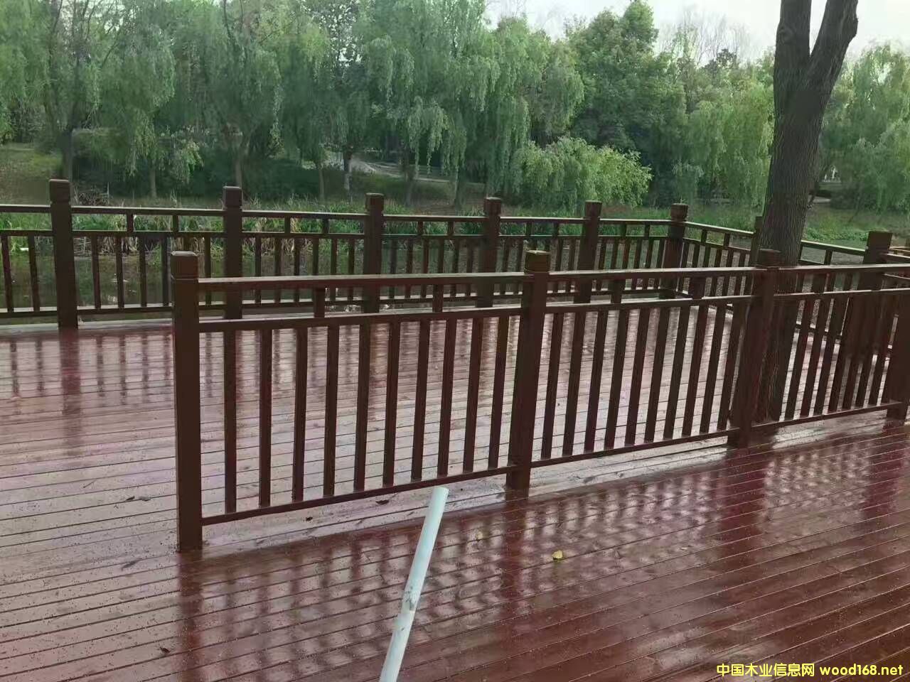 ȫ(gu)нӶƸNľř