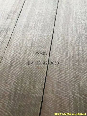 (yu)|ȻsľӰľƤ