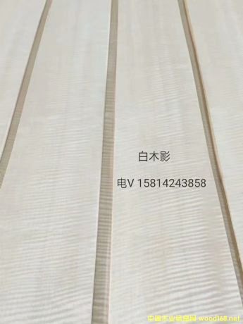 (yu)|(zh)ȻľӰľƤ